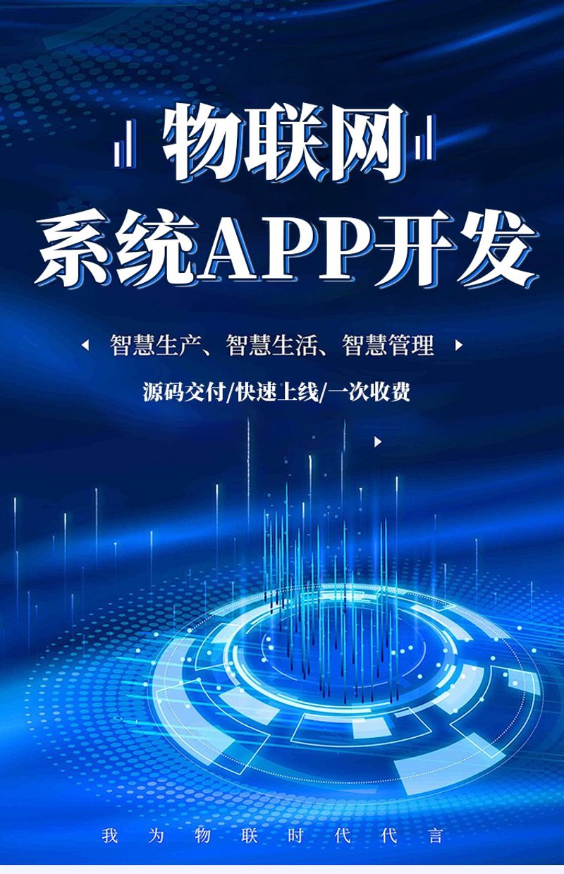 软件开发行业在上海：创新与挑战并存